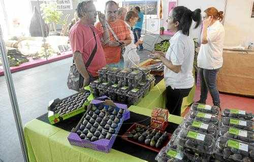 Alguaire reclama més implicació dels productors de figa amb la seua marca
