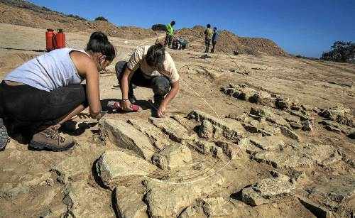 Excaven restes romanes al costat del poblat ibèric dels Estinclells de Verdú