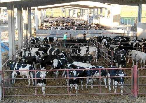 L'exportació de Lleida durant el mes de juliol triplica la importació
