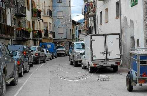Organyà multarà propietaris d'animals que embrutin carrers