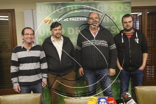 UP encara la seua renovació a Lleida