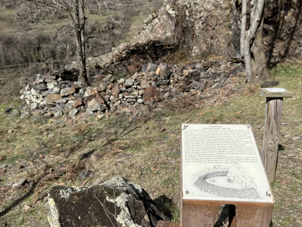 ⏯️ El Parc Natural de l'Alt Pirineu recuperarà una llobatera a Lladorre