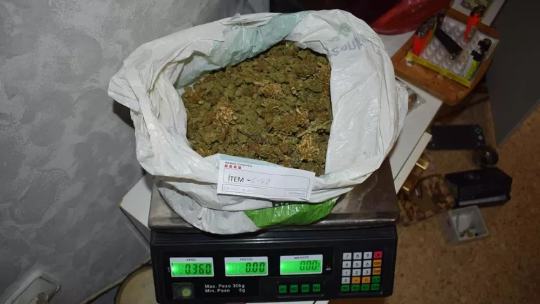 Els detinguts pel tiroteig del febrer a Tàrrega es dedicarien al tràfic de droga
