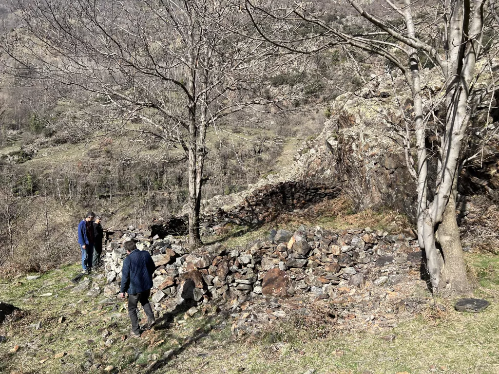 ⏯️ El Parc Natural de l'Alt Pirineu recuperarà una llobatera a Lladorre