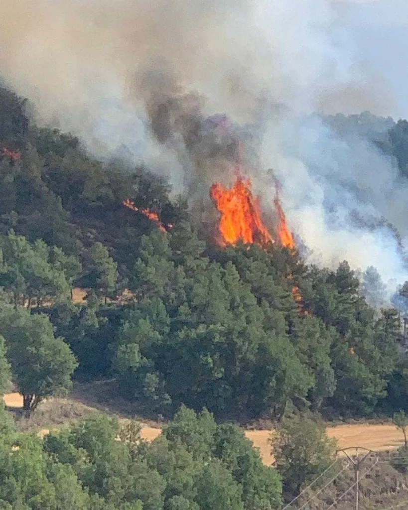 ⏯️ Els bombers estabilitzen un incendi forestal al Solsonès