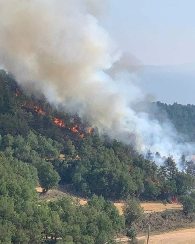 ⏯️ Els bombers estabilitzen un incendi forestal al Solsonès