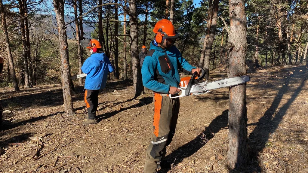 ⏯️ Campanya de conscienciació als Pirineus sobre la importància de la gestió forestal