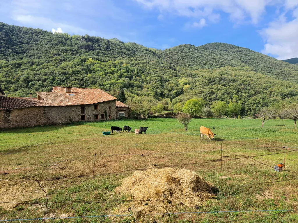 ⏯️ Creen una cooperativa al Pallars Sobirà per reivindicar l'accés assequible a l'habitatge