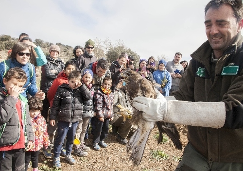 Repoblació forestal i de fauna a Castellserà