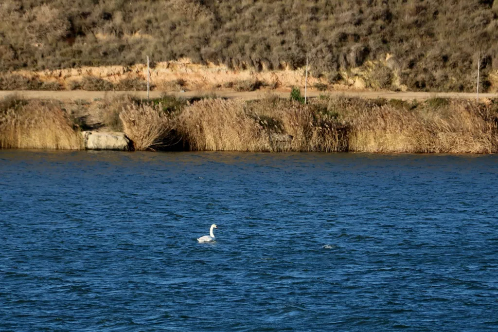 Investiguen la contaminació a Utxesa que va desproveir d'aigua potable una vintena de municipis