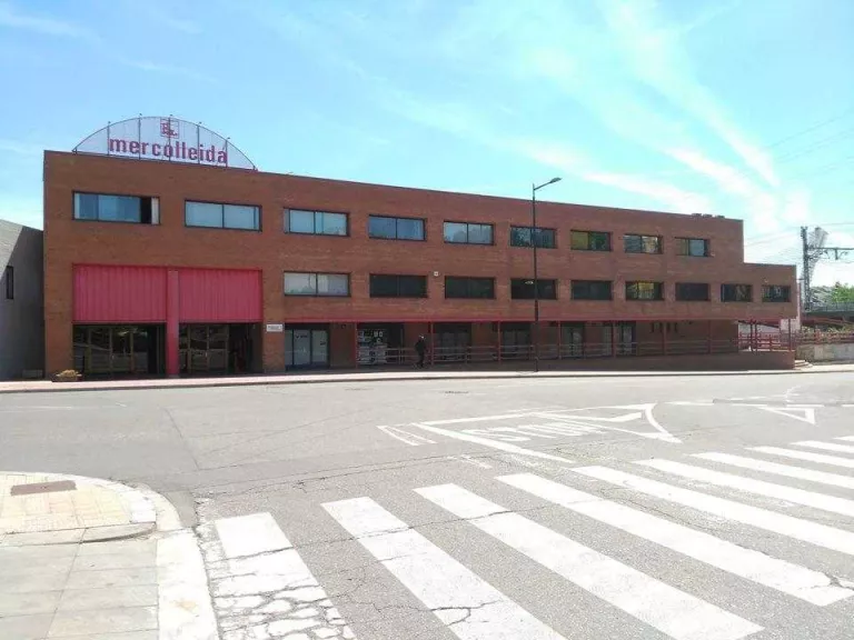 Mercolleida obté un resultat positiu de més de 90.500 euros