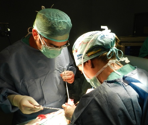 El metge de família donarà dia i hora per a l’especialista per agilitzar els diagnòstics