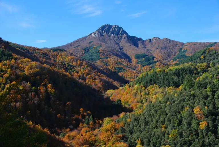 El món rural exigeix a Torra aturar i reformular l’Agència de Patrimoni Natural