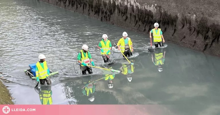 ⏯️ Buiden el canal de Gavet per fer tasques de manteniment i millora