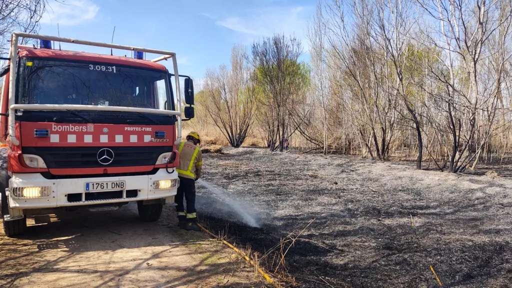 Un incendi crema uns 1.500 metres quadrats de l'estany d'Ivars i Vila-sana