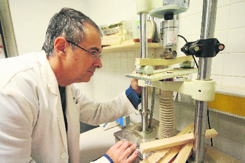 La UdL analitza les propietats de la fusta per a investigació i a petició d'empreses