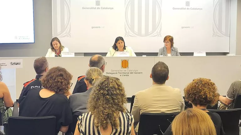 Les víctimes de violència masclista dels partits judicials de Balaguer i Cervera podran declarar en línia
