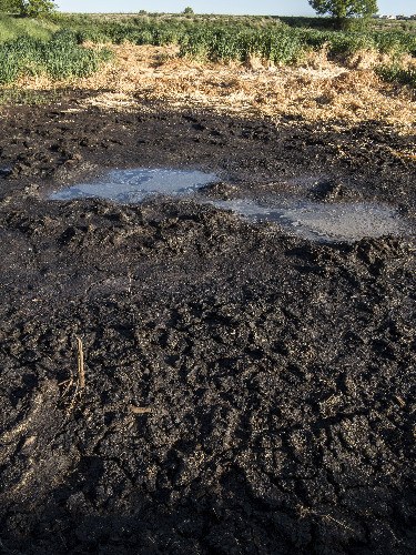 Ipcena denuncia un abocament de 50.000 litres de purins a Preixana