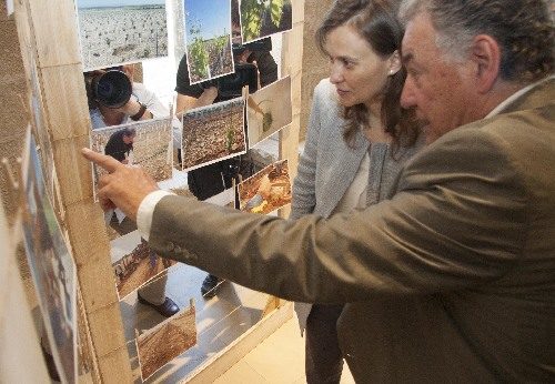 La vinya, el cinquè motor del canal Segarra-Garrigues