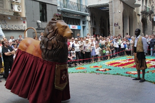 Ponent es cobreix de flors
