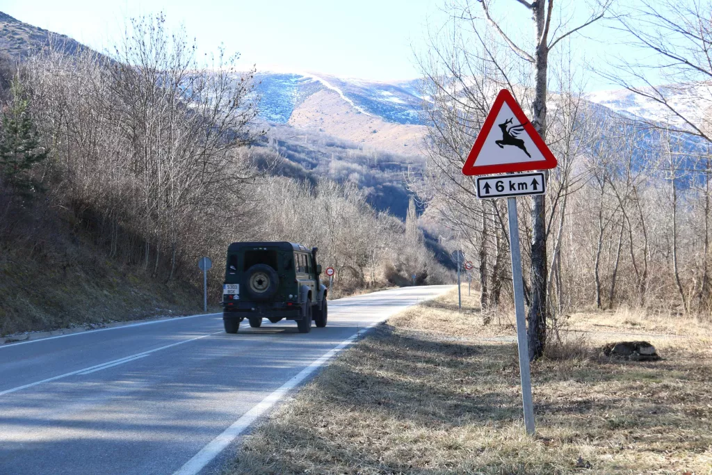 ⏯️ Cérvols voladors o vaques amb paracaigudes com a mostra d'art a les carreteres del Pirineu