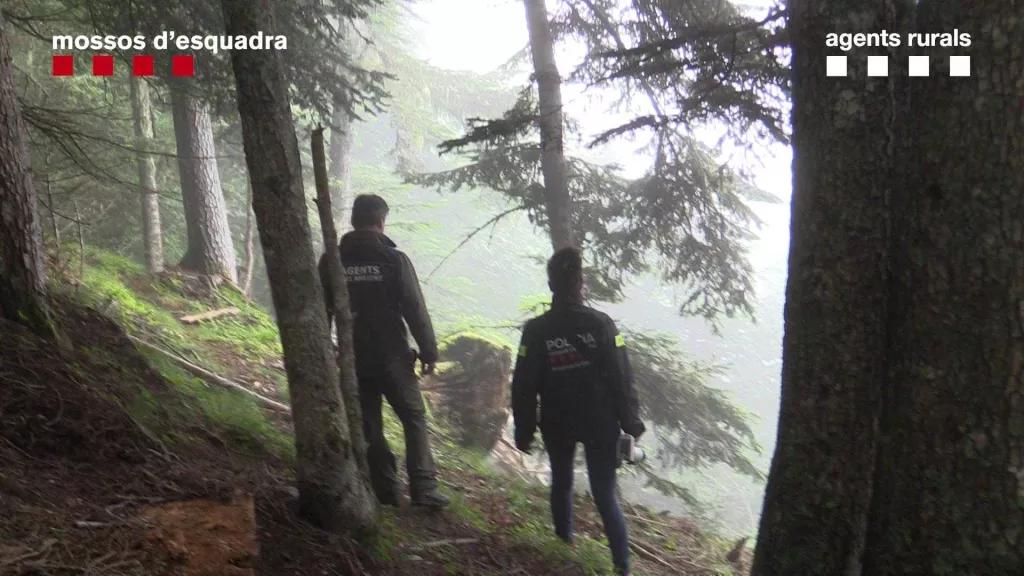 ⏯️ Detingut un home relacionat amb la mort per enverinament de l'os Cachou