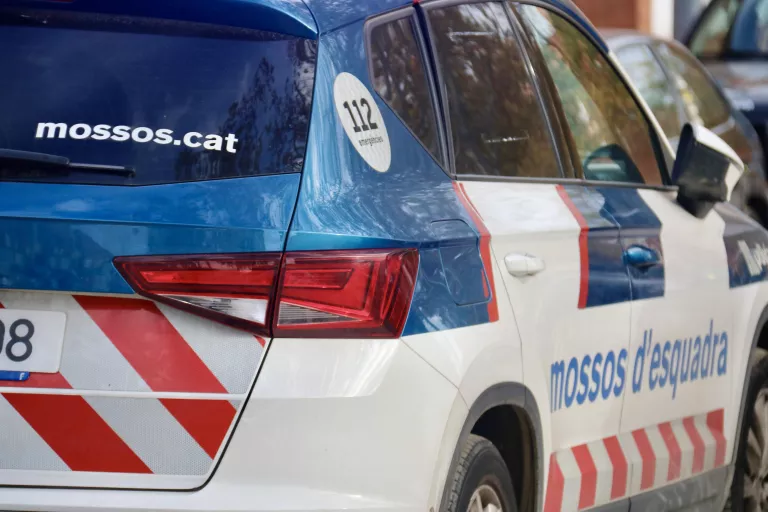 Quatre lladres reincidents detinguts per un robatori violent a Golmés