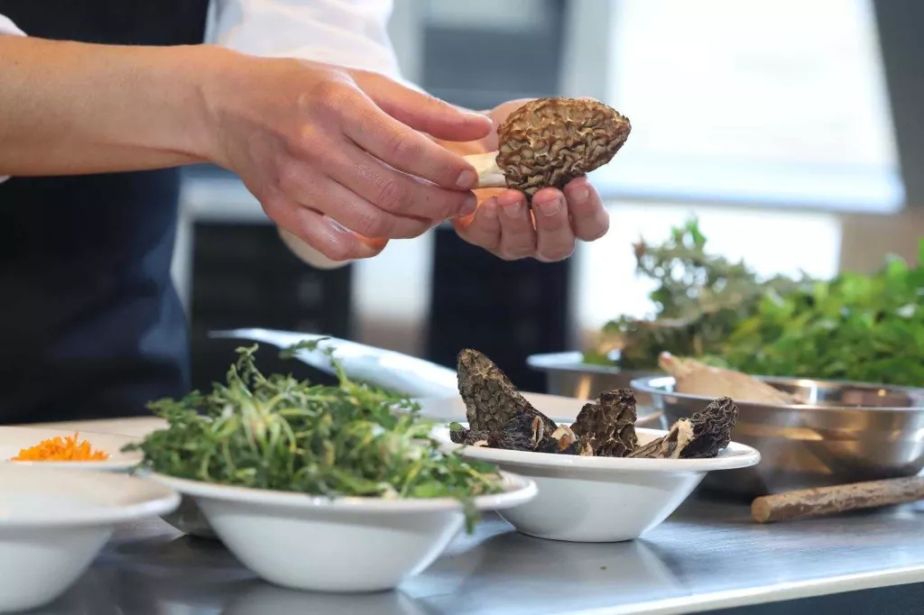 GastroPirineus torna amb la seva 8a edició per a reivindicar la gastronomia del territori