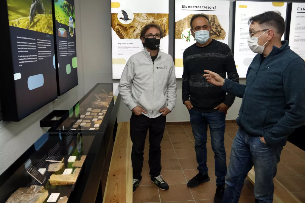 ⏯️ Primers passos per reagrupar, de manera virtual, la col·lecció de fòssils de la Pedrera de Meià