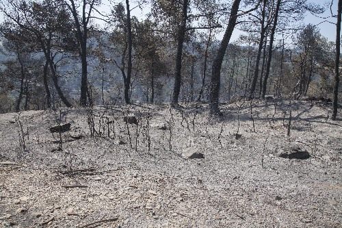 Donen per extingit l’incendi de Rocallaura, amb 102 ha afectades