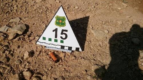 La negligència d’un nen va originar l’incendi forestal de Rocallaura