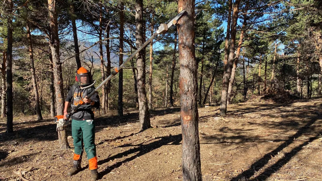 ⏯️ Campanya de conscienciació als Pirineus sobre la importància de la gestió forestal