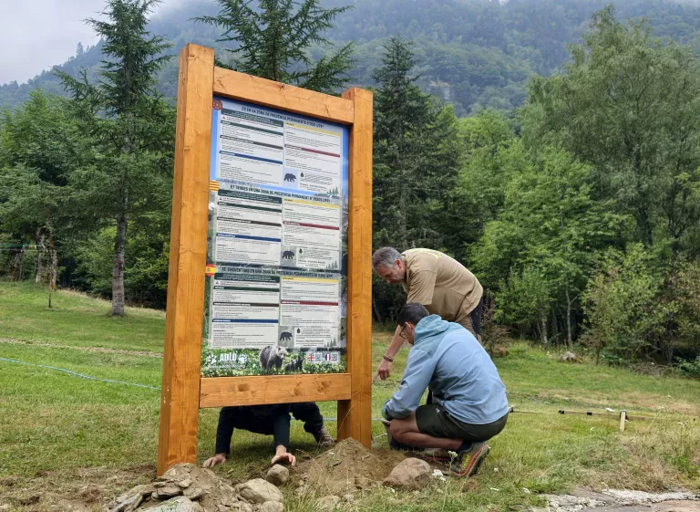 Canejan instal·la el primer cartell informatiu sobre l’os bru a la Val d’Aran