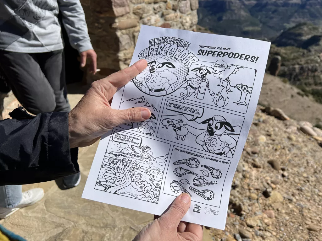 ⏯️ Tremp divulgarà els "superpoders" del corder durant la Fira Pallars