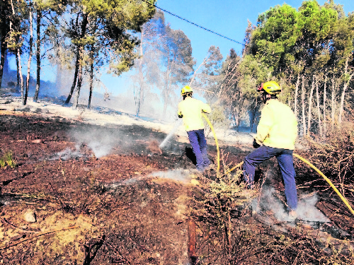 Els bombers sufoquen un foc que crema una pineda a Gimenells