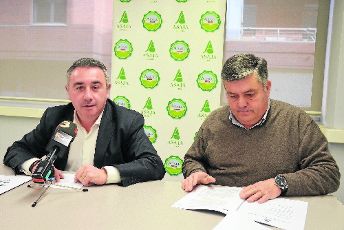 Fins a 8 cèntims més en la liquidació de fruita de pinyol