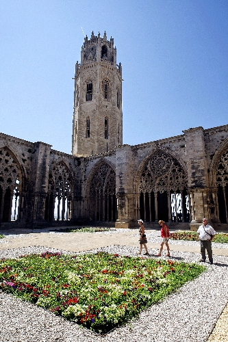 El claustre de la Seu Vella, ple de color