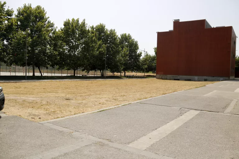 La Universitat de Lleida tindrà un centre d'edició genòmica de cereals