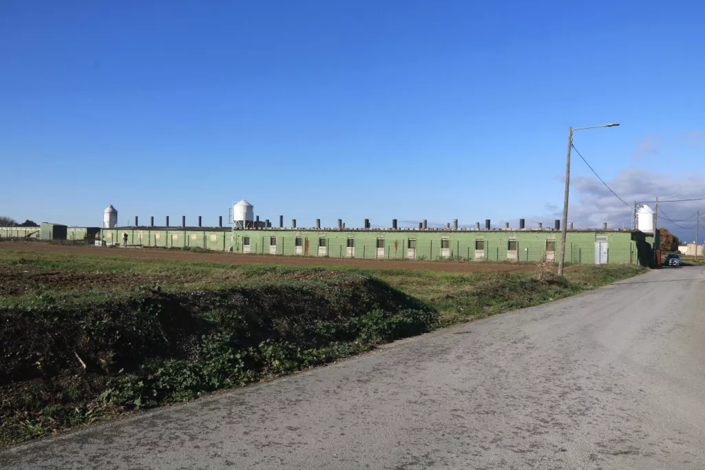 ⏯️ El sector porcí acabarà l'any millor del previst amb "empat o poques pèrdues"