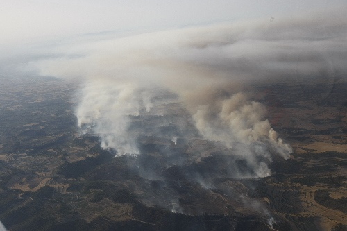 Lleida ha registrat aquest any més de 600 incendis de vegetació