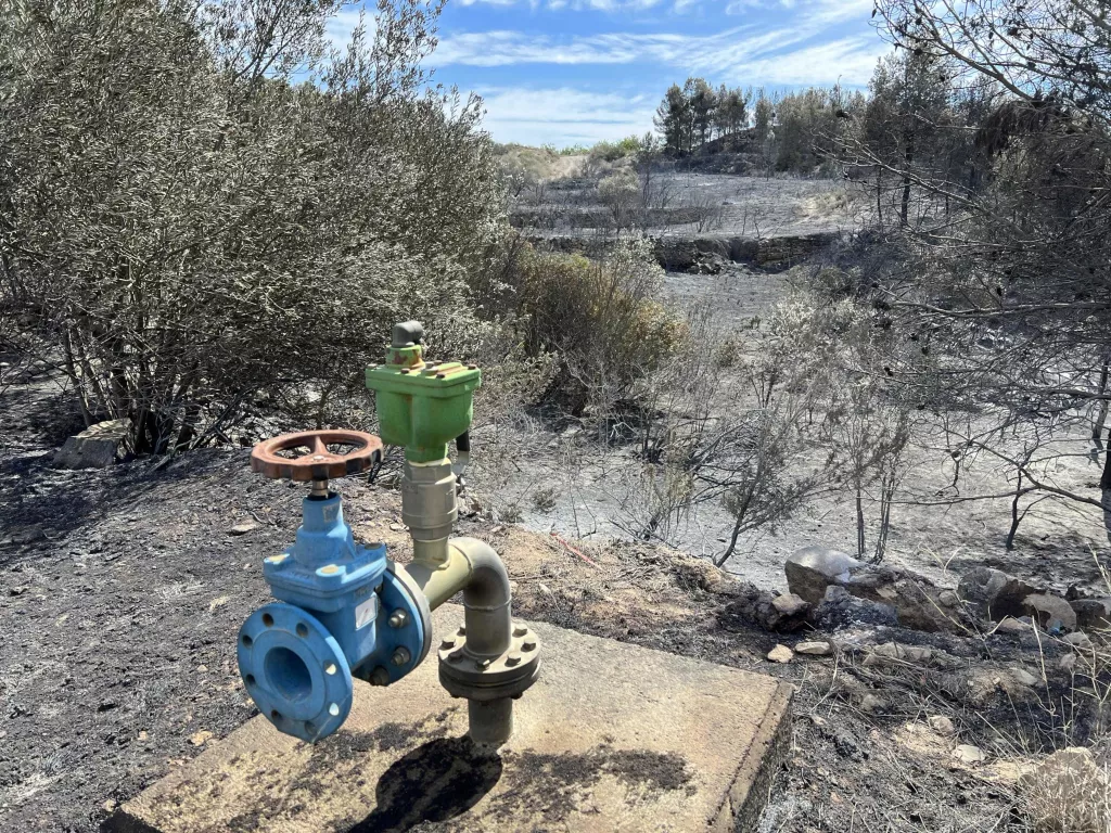 ⏯️ Estabilitzat l'incendi forestal de la Franja