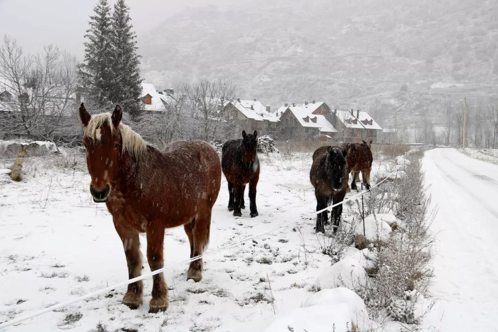 Torna la neu a cotes baixes al Pirineu i afecta la circulació