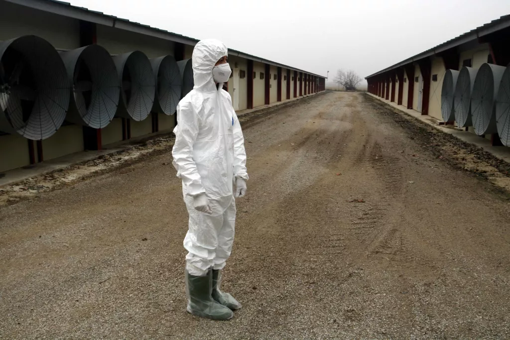 ⏯️ Inspeccionen les granges situades a la zona de vigilància pel cas de grip aviària d'Arbeca