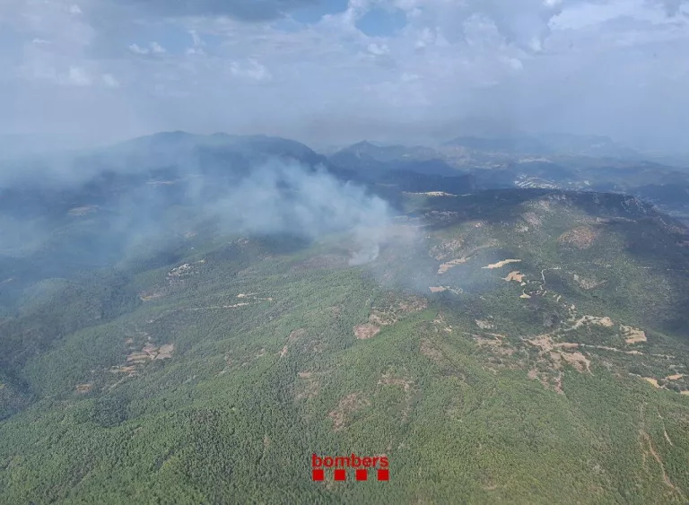 Estabilitzat l'incendi de vegetació forestal causat per llamps a la Baronia de Rialb