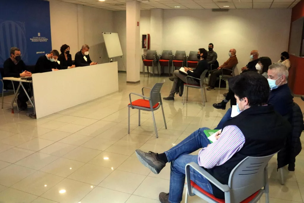 La sequera augmenta els danys provocats pels conills a l'agricultura de Lleida