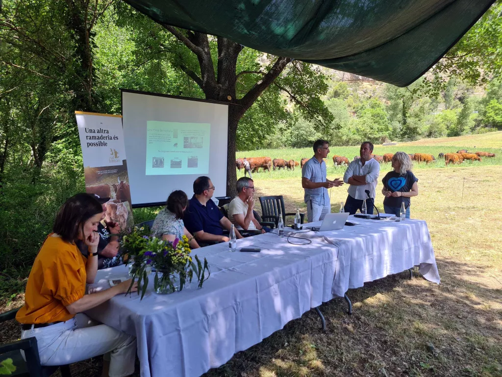 ⏯️ Constaten que la carn d'animals engreixada a base de pastures és més saludable que amb pinso