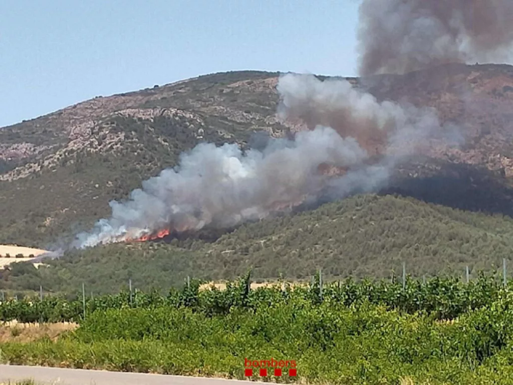 ⏯️ Més de 60 dotacions de bombers treballen en l'extinció d'un incendi a Artesa de Segre