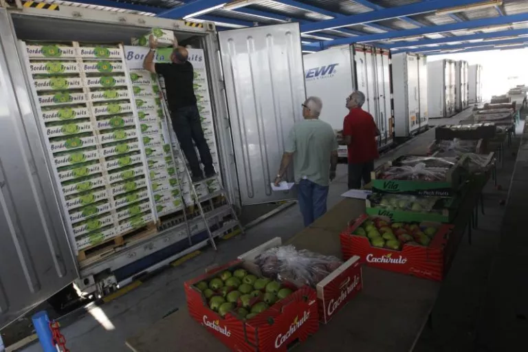 EUA obrirà les seues fronteres a la importació de pomes i peres de Lleida i de tota la UE