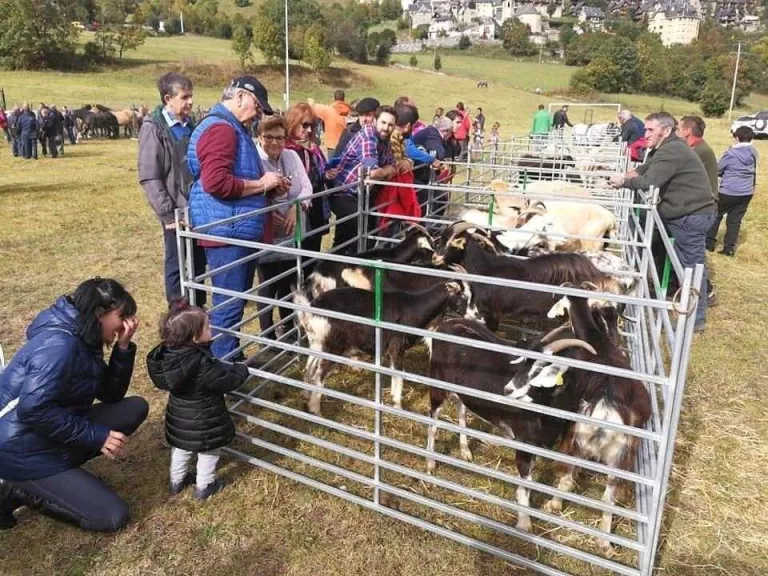 Més de 200 expositors a la fira ramadera comercial de Vielha