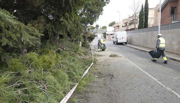 Prop de 90 sortides de bombers a Lleida i pistes tancades per vent de fins a 103 km/h